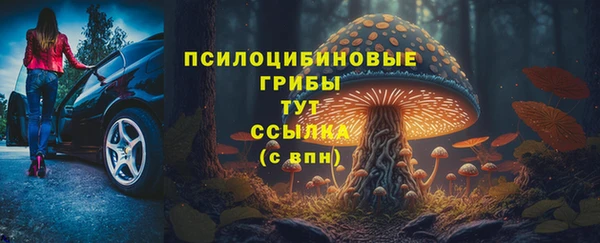 соль ск Арсеньев