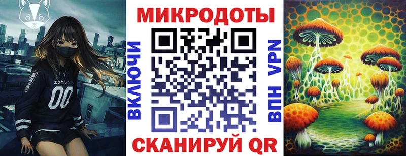Галлюциногенные грибы Psilocybine cubensis купить Устюжна